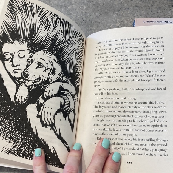 Baileys story, Molly story, racing in the rain set of 3 books - Picture 10 of 10